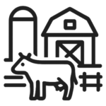 Fazendas produtoras com confinamento